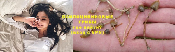 Альфа ПВП Нягань