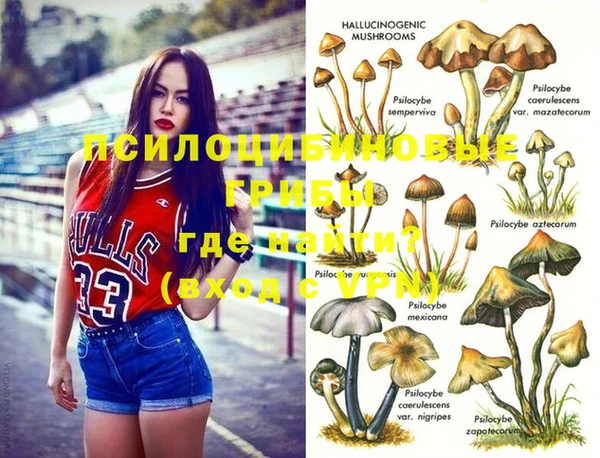 spice Няндома