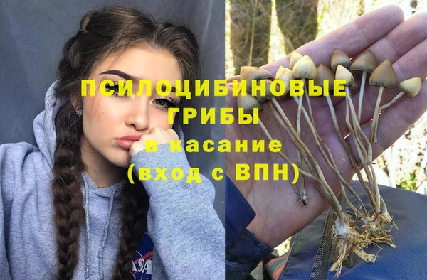 мескалин Нязепетровск