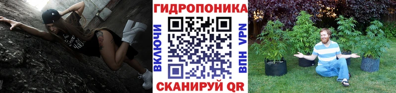 Бошки марихуана гибрид  mega ТОР  Уяр 